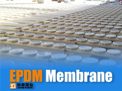 EPDM Membrane Science: W jaki sposób dyfuzory dyski osiągają 8- rok życia w k...